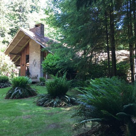 Manitou Lodge Форкс Экстерьер фото